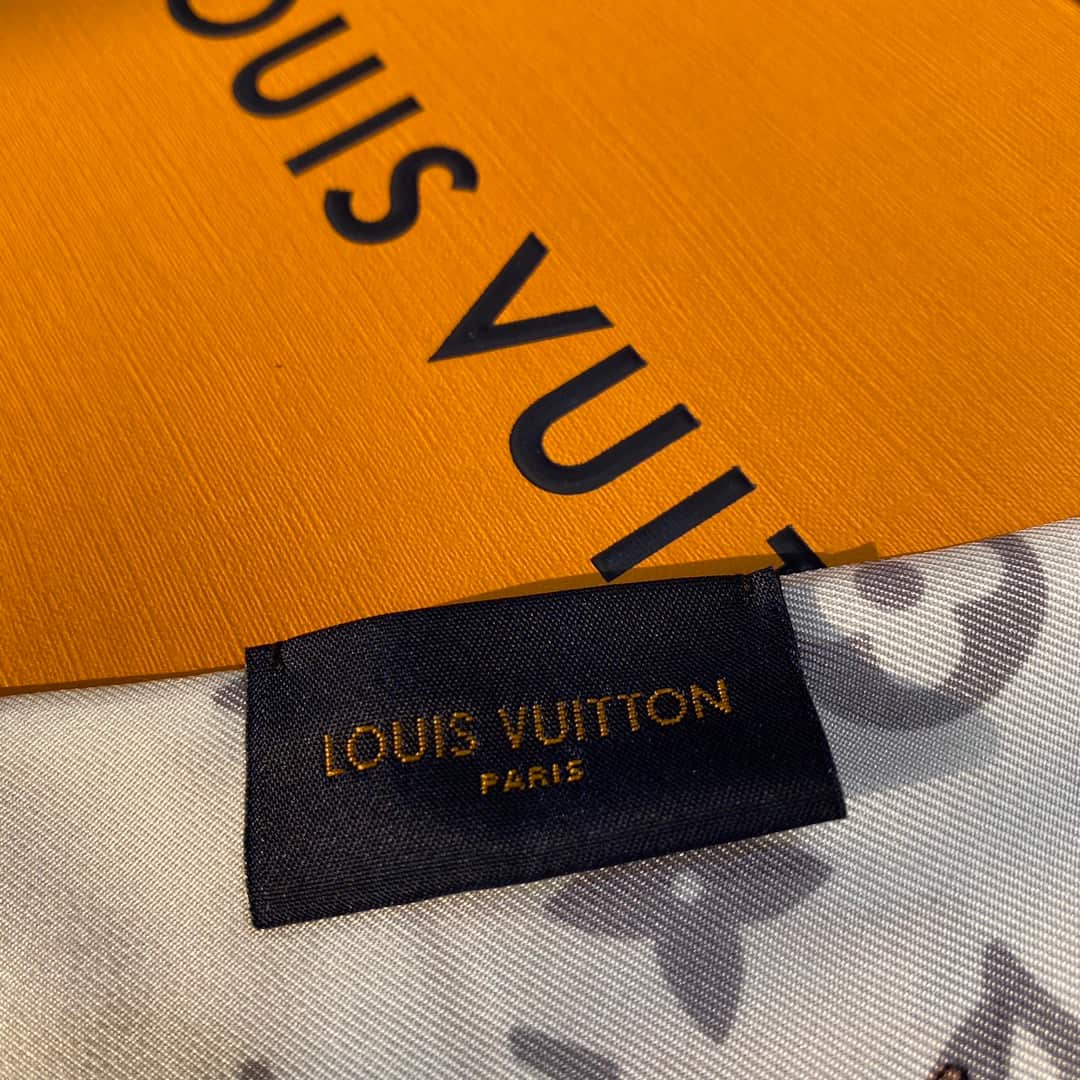 Louis Vuitton: сумка