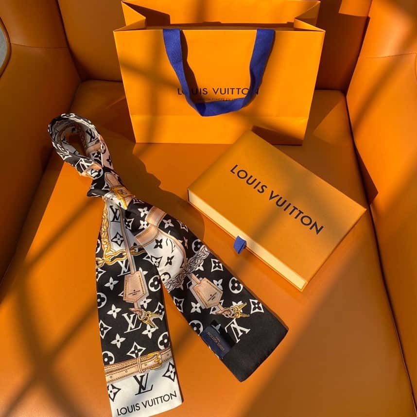 Louis Vuitton: сумка