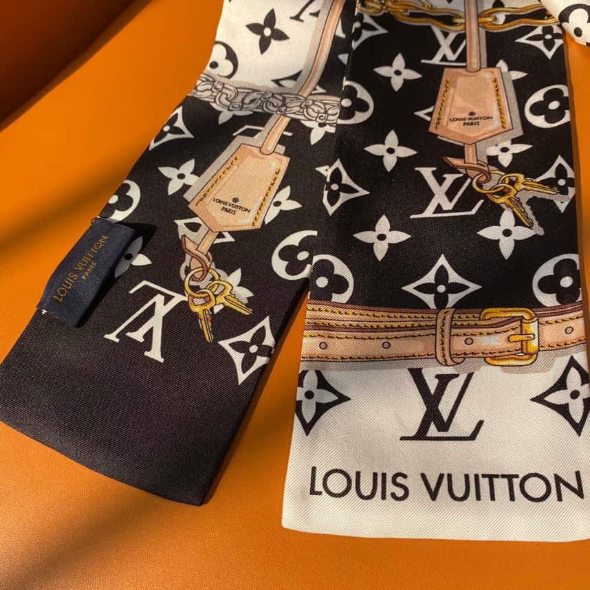 Louis Vuitton: сумка