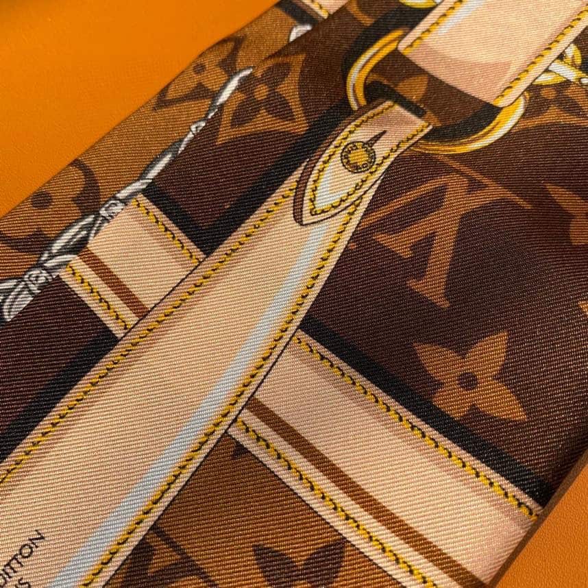 Louis Vuitton: сумка