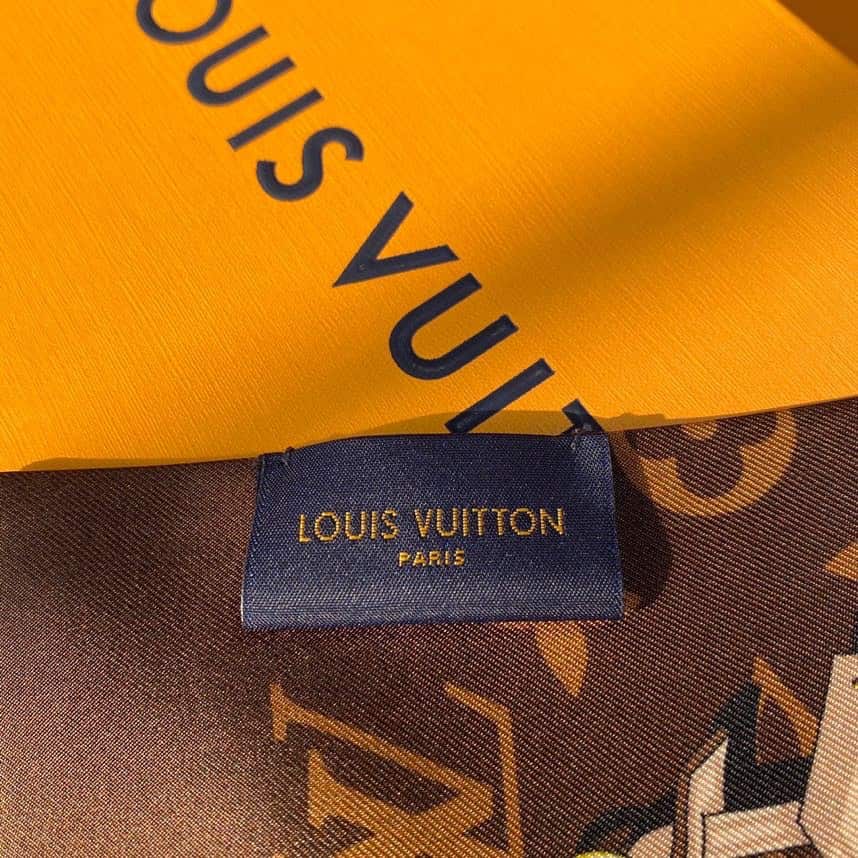 Louis Vuitton: сумка