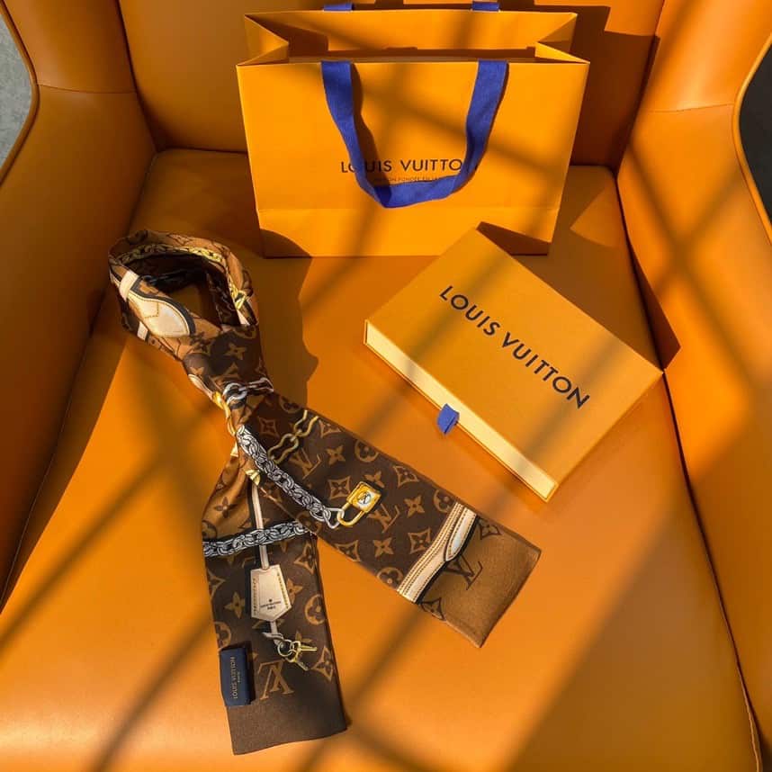 Louis Vuitton: сумка
