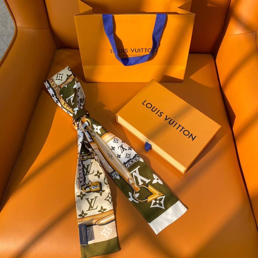 Louis Vuitton: Bag