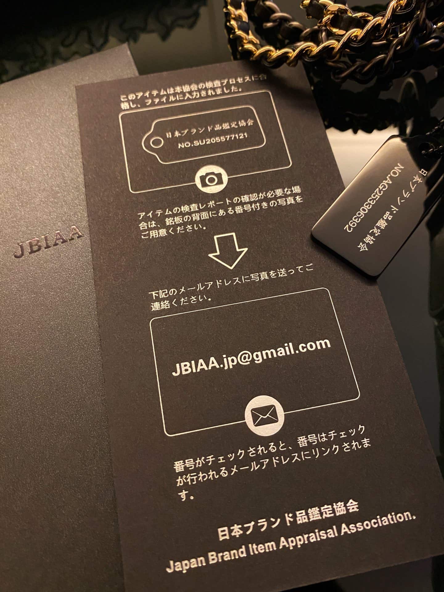 A91810  流浪包20👜