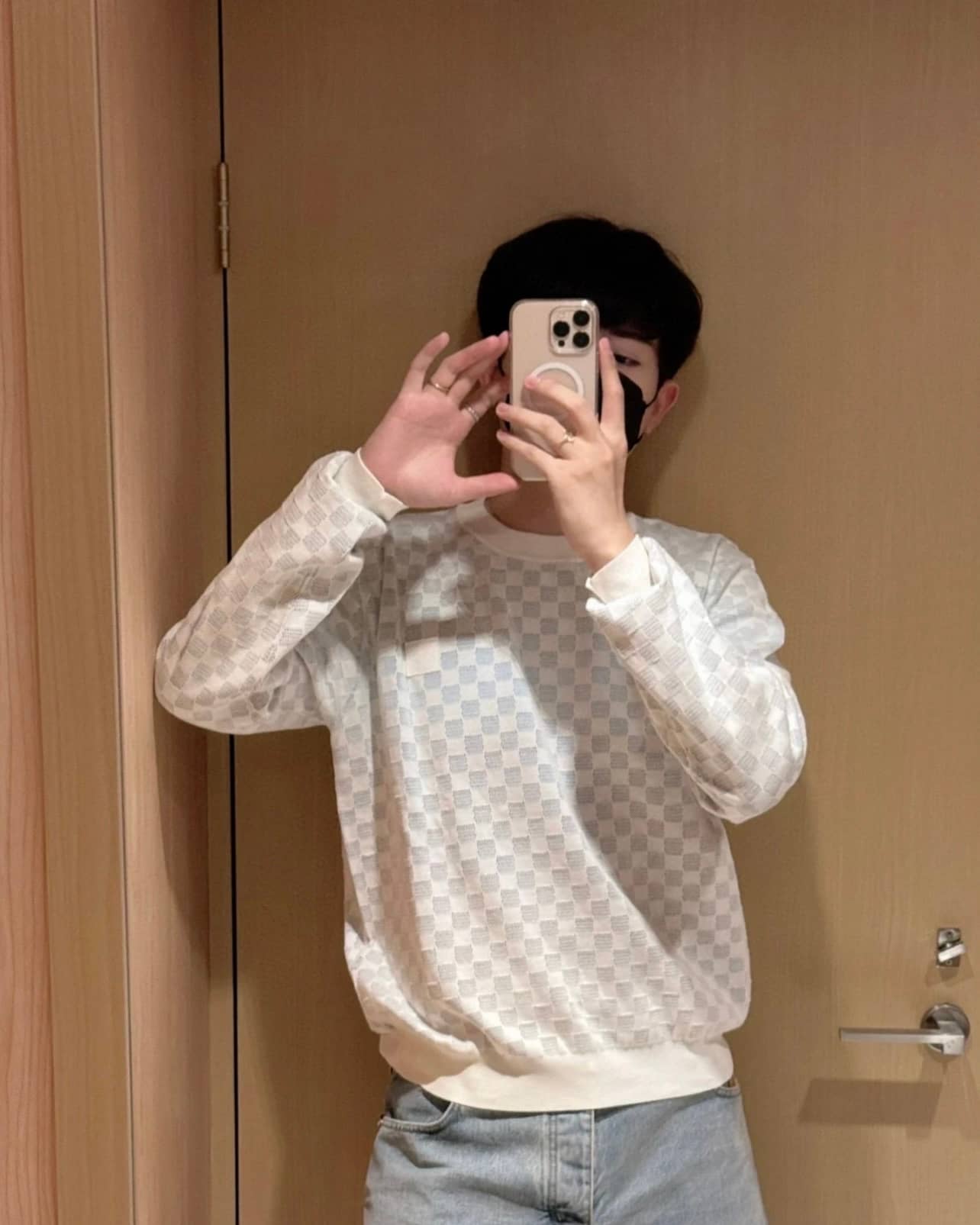 Louis Vuitton: Sweatshirt, print